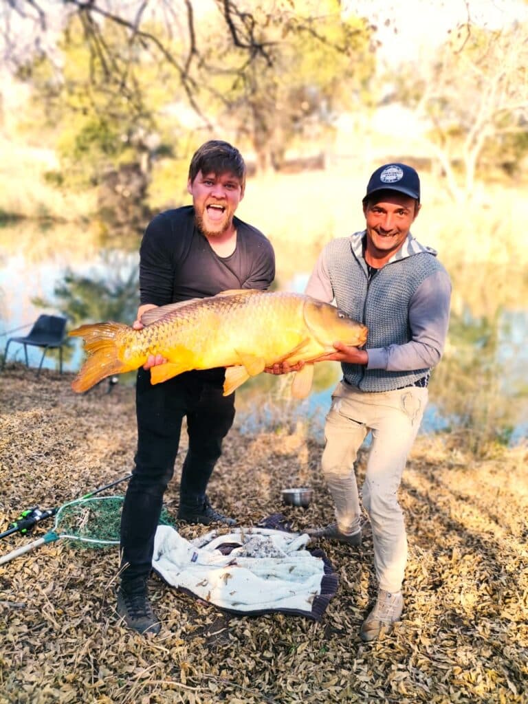 Game viewing in Dinokeng