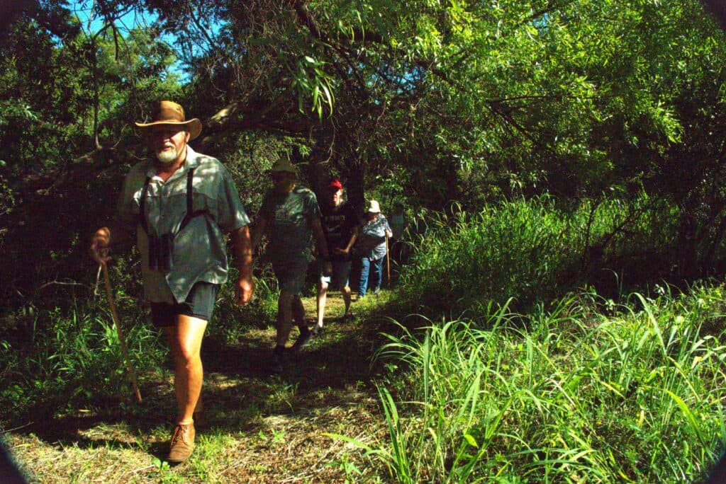 Bush walk along the Elands River