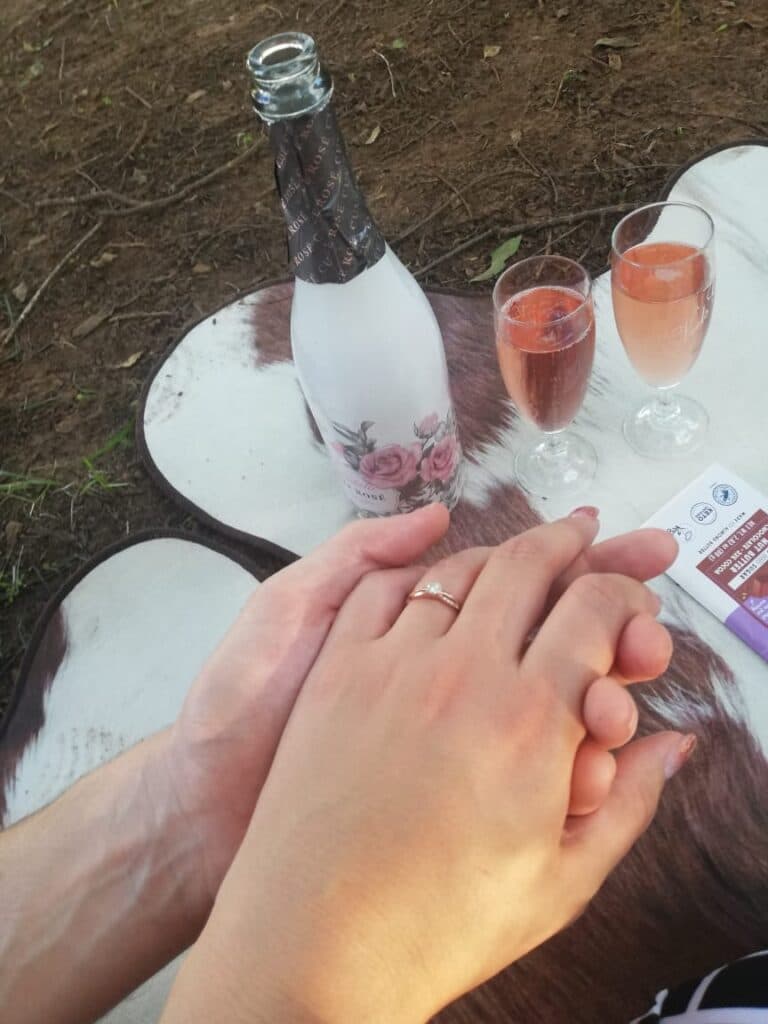 Bushveld engagement scene